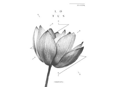 Lotus blackwhite elegant lotus