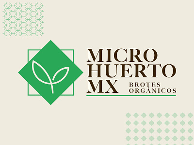 Microhuerto MX branding design logo microgreens vegetables
