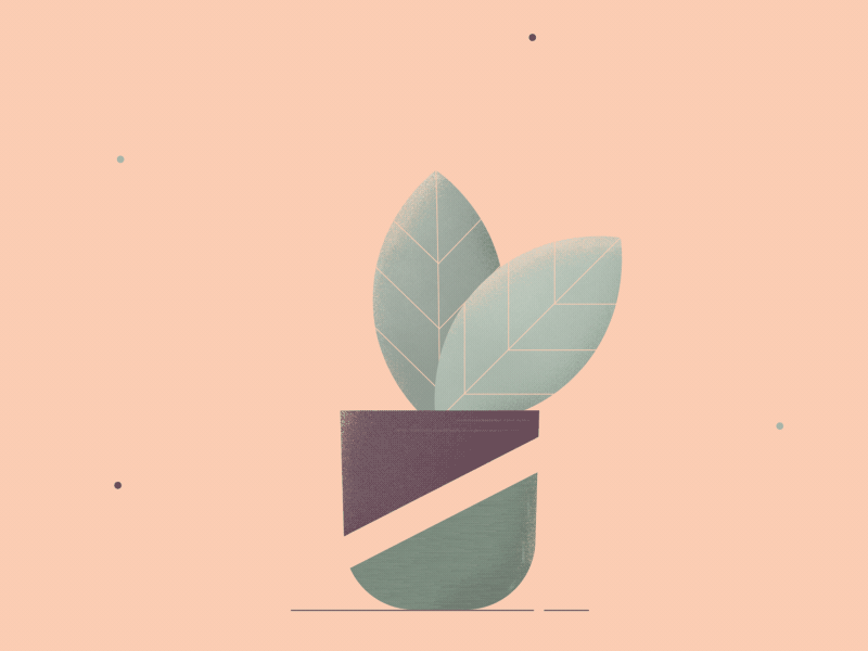 Plant 01 aftereffects graphicdesign illustration motiondesign motiongraphics plants