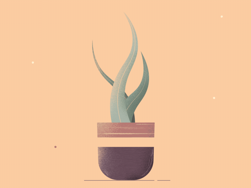 Plant 02 aftereffects graphicdesign illustration motiondesign motiongraphics plants