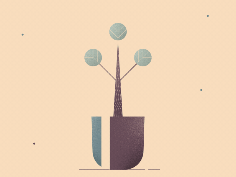 Plant 03 aftereffects graphicdesign illustration motiondesign motiongraphics plants