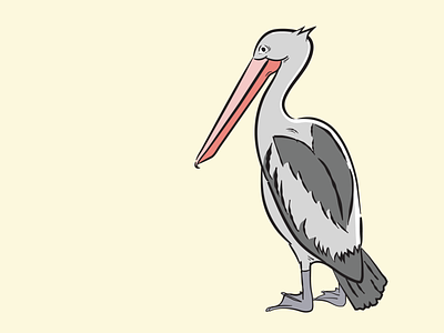 Mr Pelican