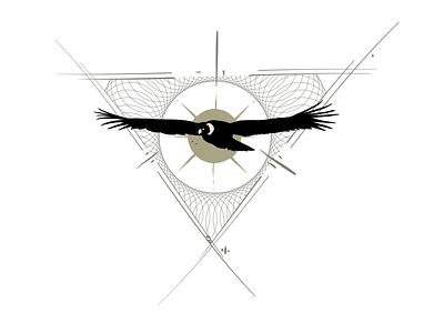 Condor grit illustration texture