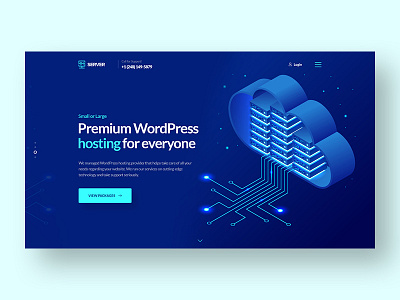 Hosting Company Landing Page