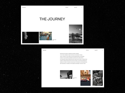 Darwis Triadi Potography Portfolio Concept ui ui design uiuxdesign website design