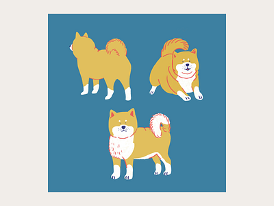 Weekly illustration #006 abstract art branding dog dog illustration doggo graphicdesign illustration pattern shiba shibainu