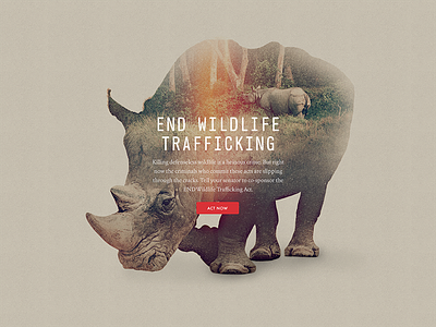 End Wildlife Trafficking advocacy double exposure rhino wcs wildlife wildlife conservation society