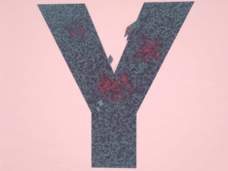 Y for 36 days of type 36daysoftype 3d aftereffects alphabet animation cinema4d design letter motion