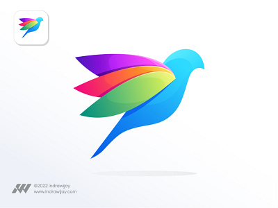 Colorful Bird 4
