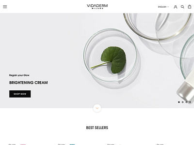 vidaderm app branding design illustration logo minimal typography ui vector web website