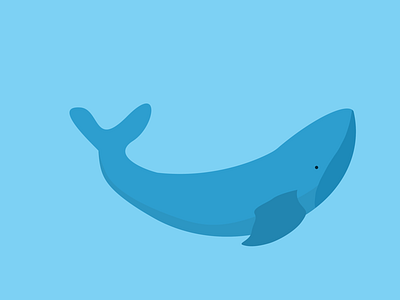 Whale design illustration vector vectornator whale