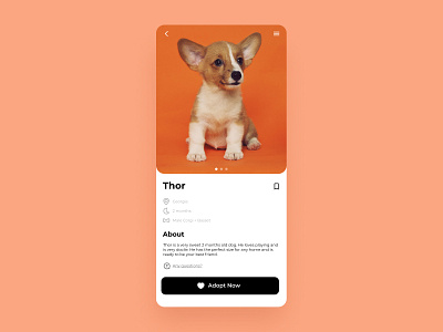 Daily UI 06 | User Profile adoption daily 100 challenge daily ui dailyui dailyuichallenge dog profile puppy ui user profile