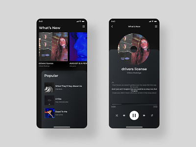 Daily UI 09 | Music Player app daily 100 challenge daily ui dailyui dailyuichallenge drivers license interface music music app music player ui