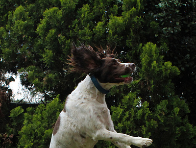 Shutter Speed Photography action photograph photography shutterspeed