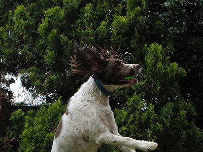 Shutter Speed Photography