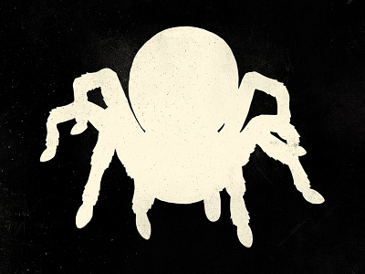 Mammoth Spider by Erika Marquez on Dribbble