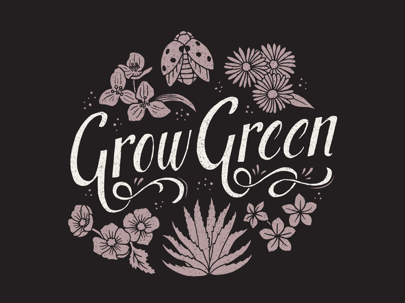 Grow Green illustration typography ladybug hand lettering lettering nature grunge texture plants agave flowers shirt design