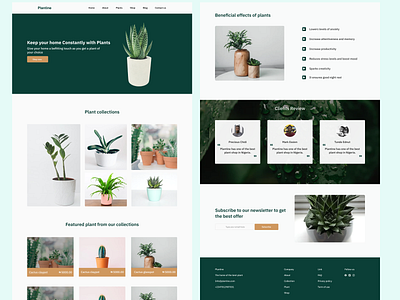 Plant shop landing page design typography ui ux