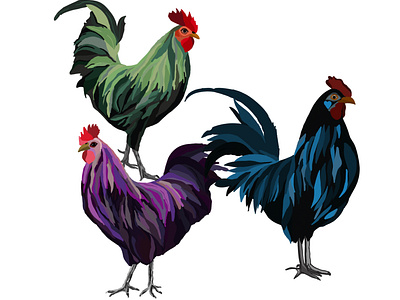 Groovy Roosters
