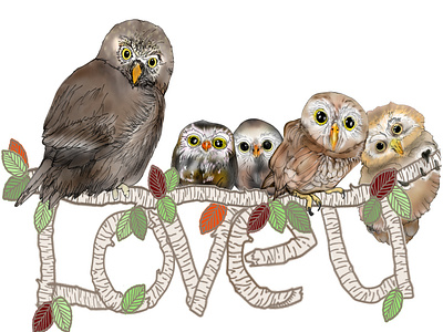 Owl illustrations - creates a stunning nursery