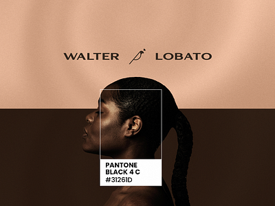 Paleta de Cores // Logotipo - Walter Lobato