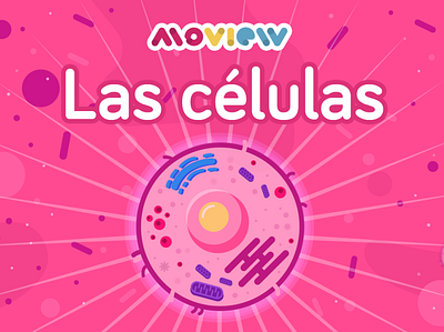 Cell aftereffects animación animation design illustration illustrator mexico moview