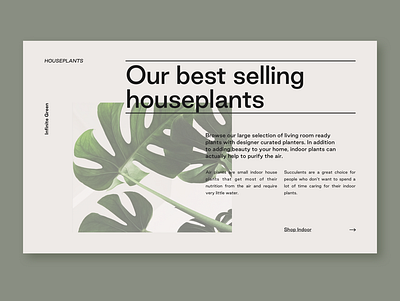 Online Nursery Landing Page design nursery plants ui ux webdesign