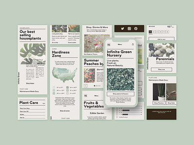 Responsive Web Design branding design ecommerce ecommerce design ecommerce shop indoor plants minimal minimal design mobile app mobile app design mobile design mobile ui online nursery plants responsive design responsive web design responsive website ui ux webdesign