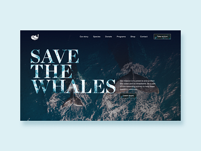 Save the whales concept #3 art direction art director cinematic editorial homepage landing page minimal design modern national geographic nature photography photography type exploration website design whale logo whales