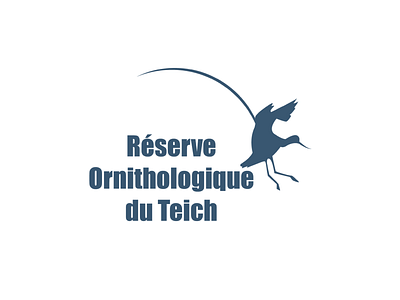 Teich Ornithological Reserve design flat graphic design icon illustration illustrator logo logo design logotype minimal