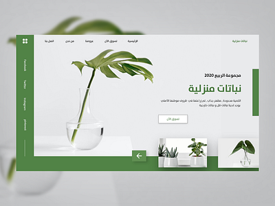 interior plants store arabic monto plants webdesign xd