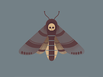 Death's Head Hawkmoth design gradient graphic icon illustration illustrator insect minimal moth vector vector art