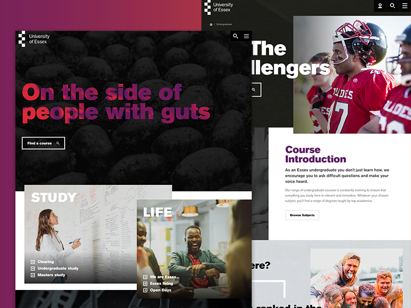 University of Essex. typography gradient branding layout ux ui digital case study website