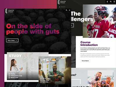 University of Essex. branding case study digital gradient layout typography ui ux website