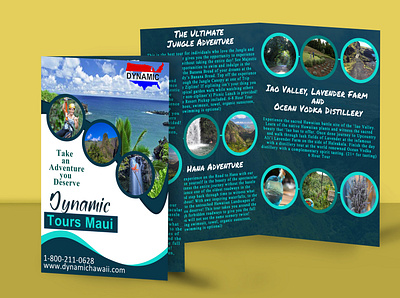 Tour Brochure branding design ecommerce illustration vector