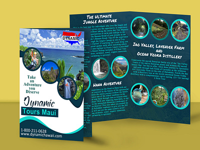 Tour Brochure branding design ecommerce illustration vector