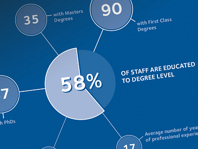 Employees annual report data diagram illustration infographic pie chart statistics