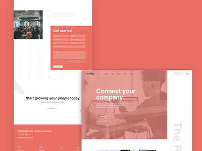 Website company landing page