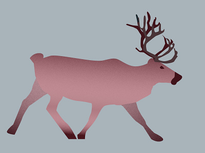 Reindeer deer illustration reindeer vector