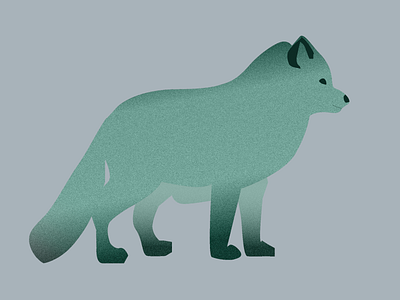 Polar fox