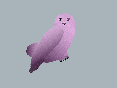 Snowy owl illustration owl snowyowl vector