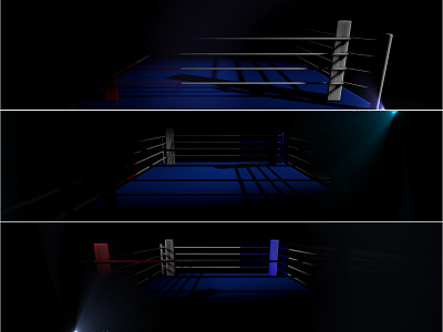 3D visualization of the boxing ring