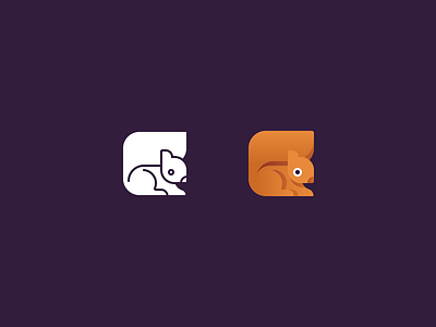 Icon exploration for Squarrel