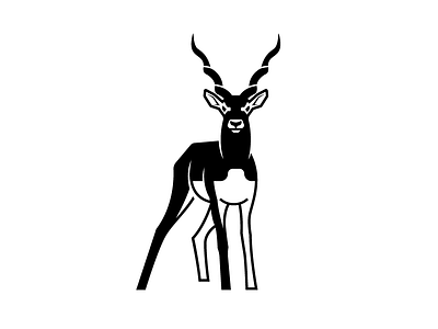 Black Buck animal animal art animal logo black buck buck buck design design icon illustration logo logodesign vector