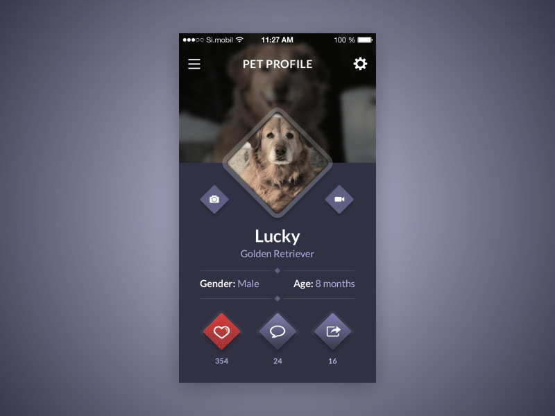 Pet Profile animals app design dog pet profile webshocker