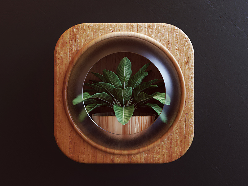 Plant 3d glass wood nature plant icon design ios app icon design webshocker