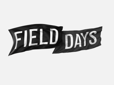 Field Days 3d animation cloth flag logo loop webshocker