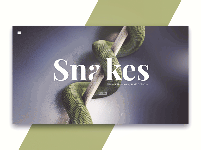 Snakes 3d animals animation design landing snakes visual webshocker website