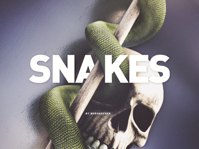 Snakes II after effects animation design element 3d snakes visual webshocker website