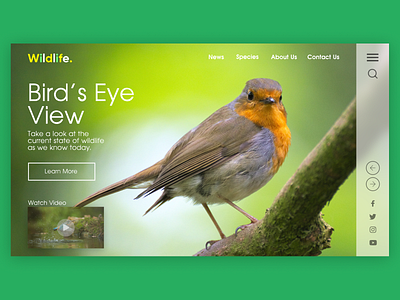 Wildlife Website Landing Page Prototype Design